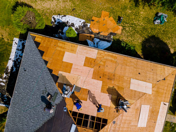 Best Roof Gutter Cleaning  in Reisterstown, MD