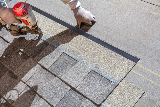 Best Roof Maintenance Services  in Reisterstown, MD