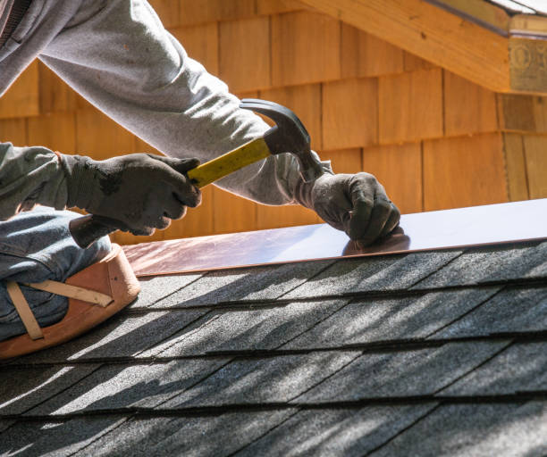 Best Roof Gutter Cleaning  in Reisterstown, MD